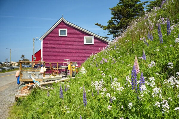 Hall's Harbour