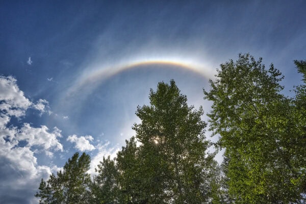 Halo