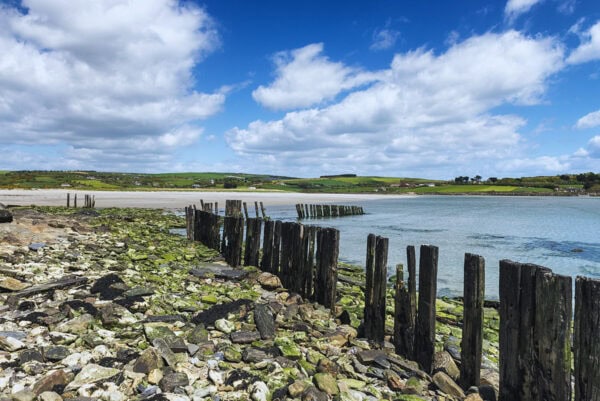 Harbour View Dunes