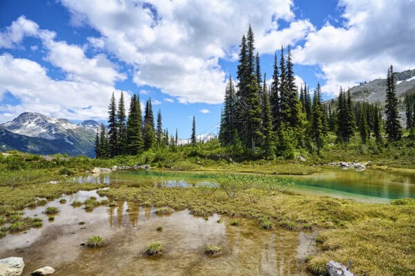 Harmony Lake