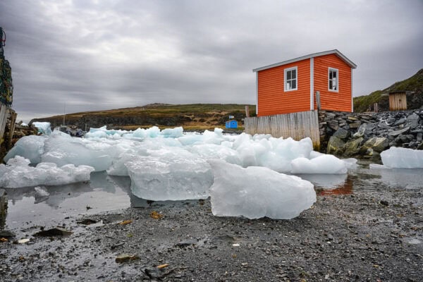 Iceberg