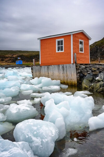 Iceberg