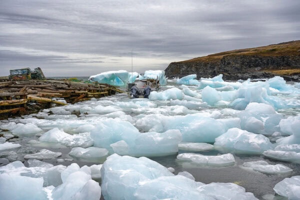 Iceberg