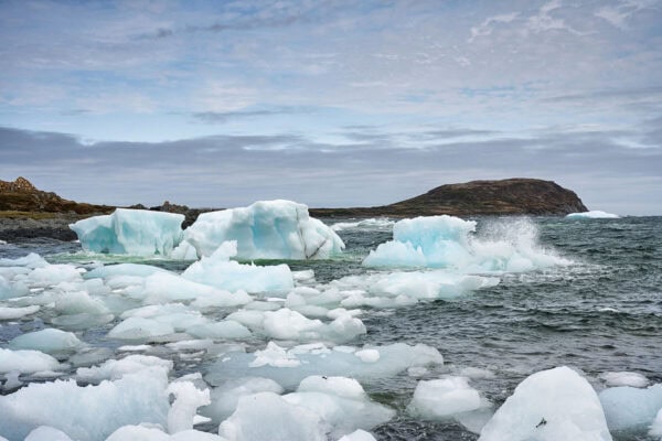 Iceberg