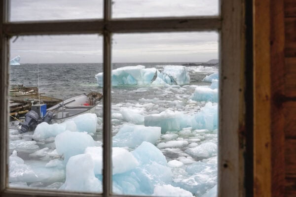 Iceberg
