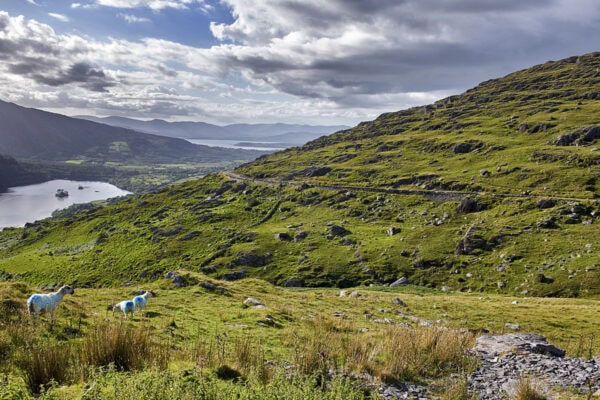 Healy Pass