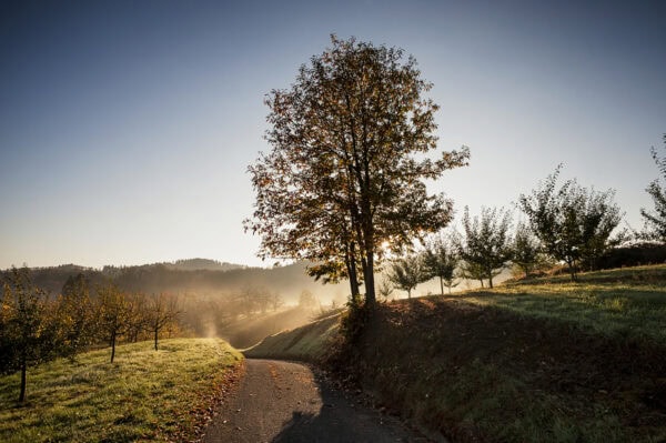 Autumn mood