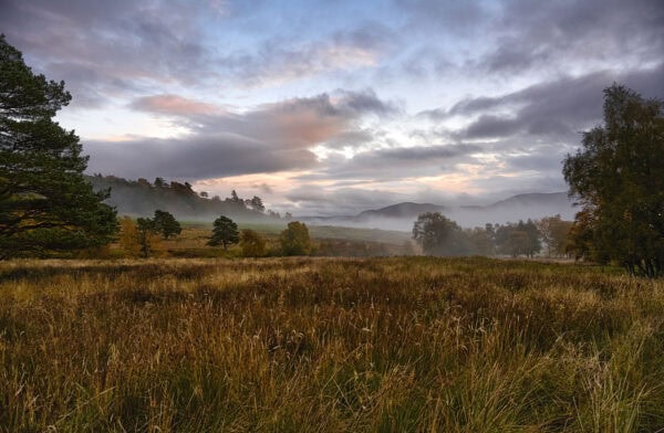 Highlands