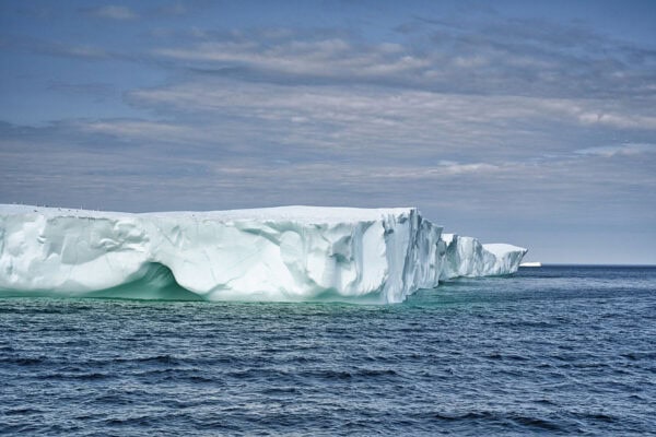 Iceberg Alley