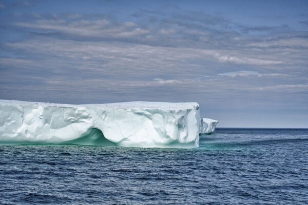 Iceberg Alley