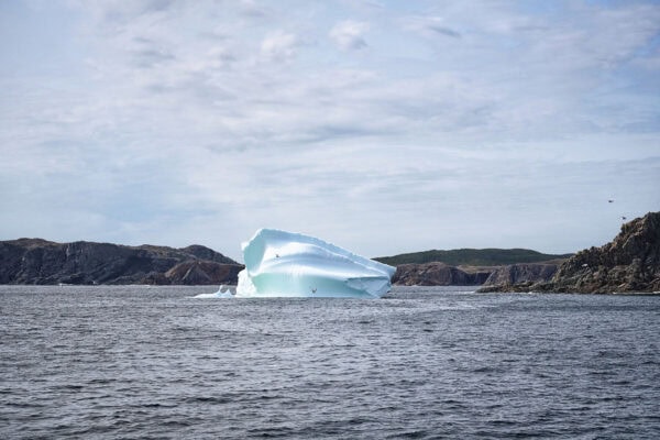 Iceberg Alley