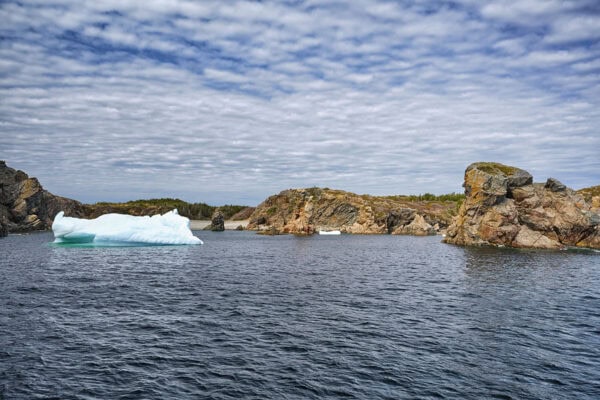 Iceberg Alley