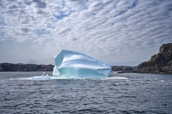 Iceberg Alley