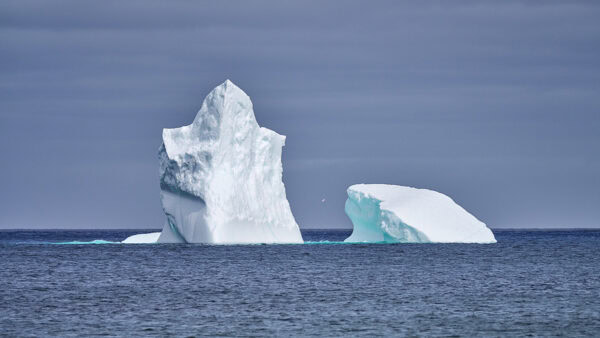 Iceberg