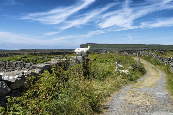 Inishmore