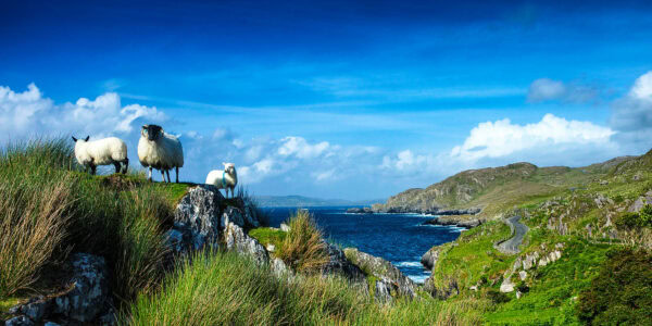 Ireland Books