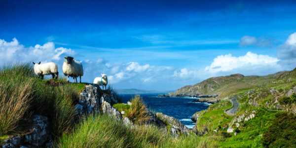 Ireland Books