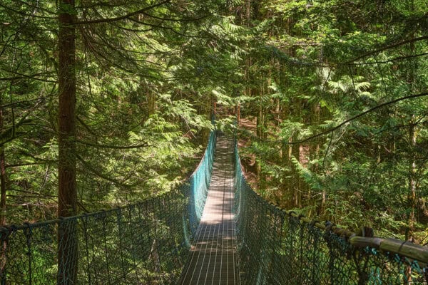 Juan de Fuca Trail
