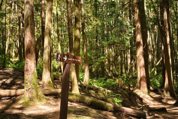 Juan de Fuca Trail