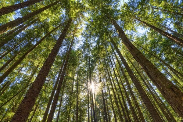 Juan de Fuca Trail