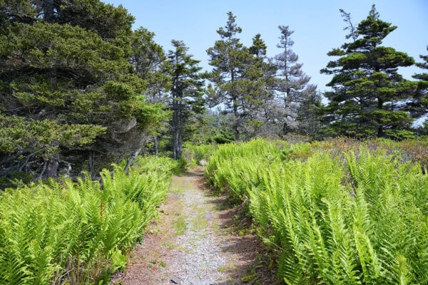 Kejimkujik National Park