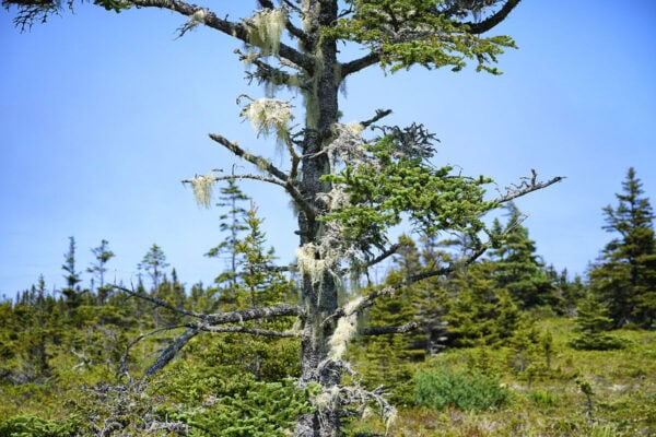 Kejimkujik National Park