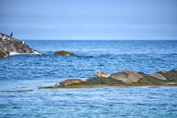 Kejimkujik National Park