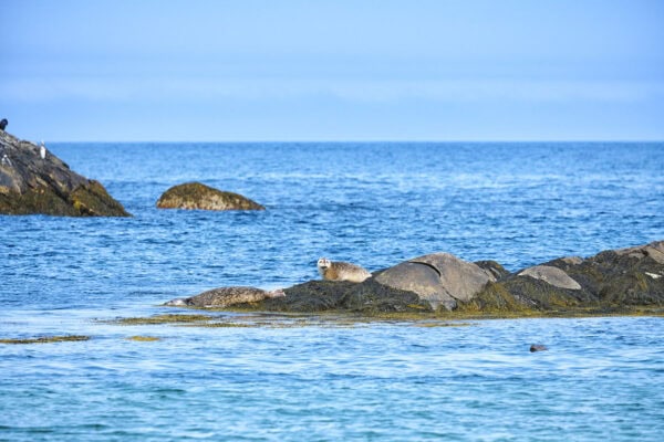 Kejimkujik National Park