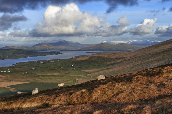 Kerry Cliffs