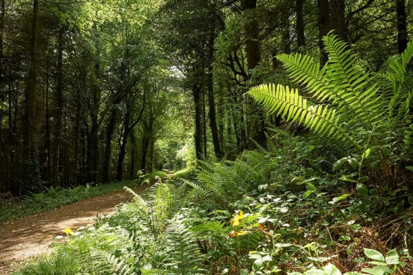 Kerry Way