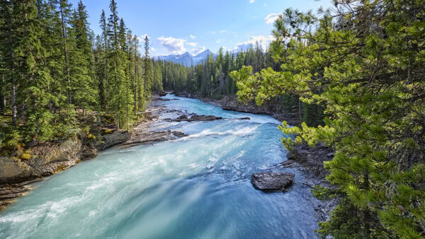 Kicking Horse River