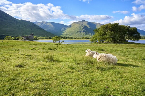 Kilchurn Castle