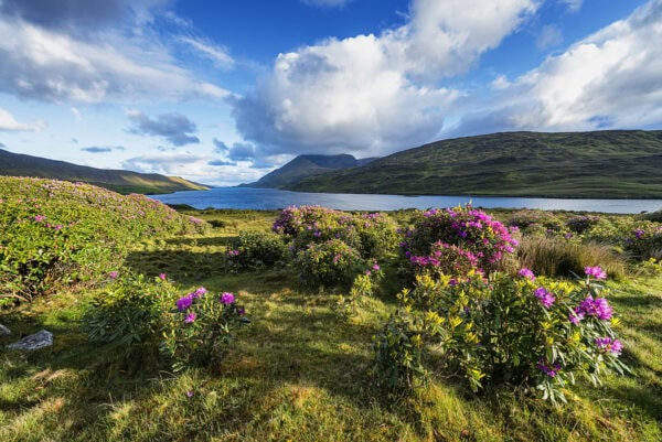 Killary Harbour