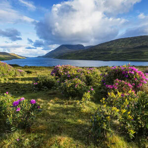 Killary Harbour