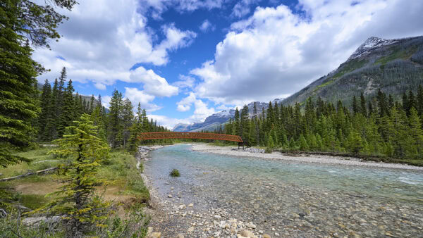 Kootenay River
