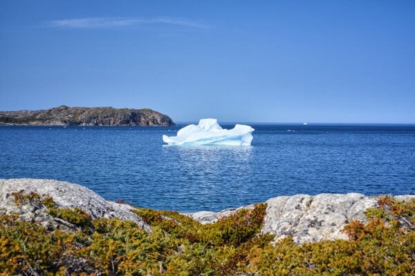 Little Harbour