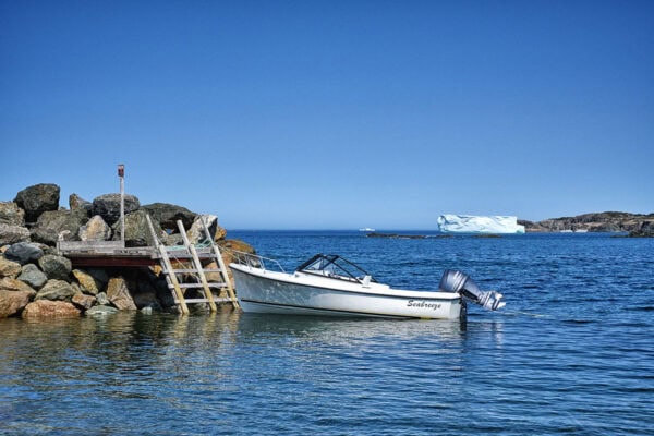 Little Wild Cove