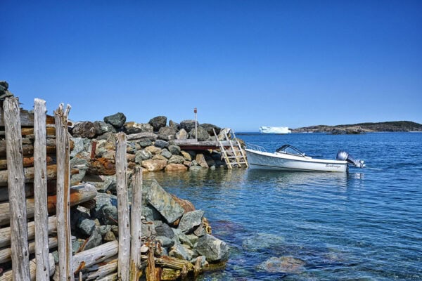 Little Wild Cove