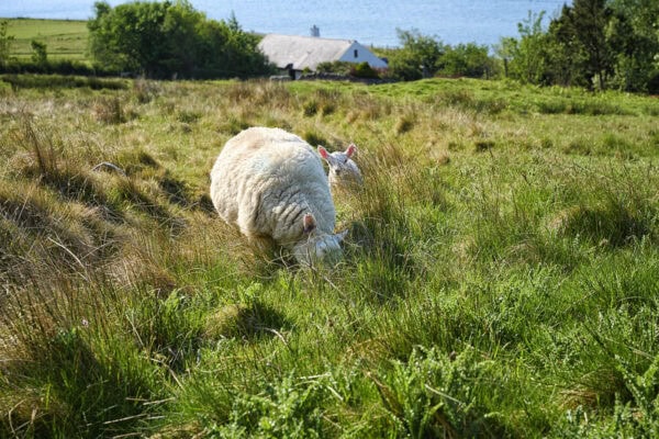 Loch Broom