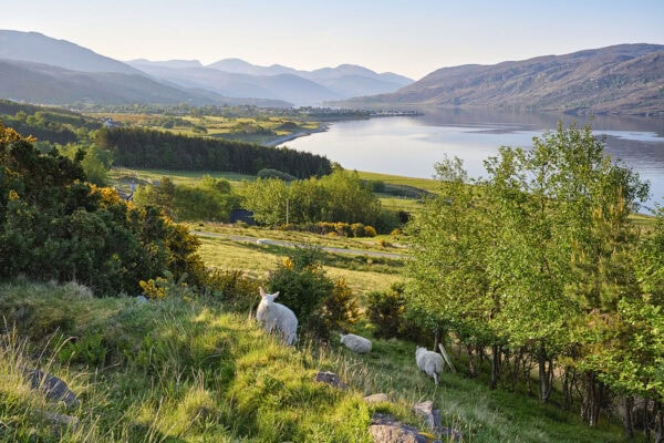 Loch Broom