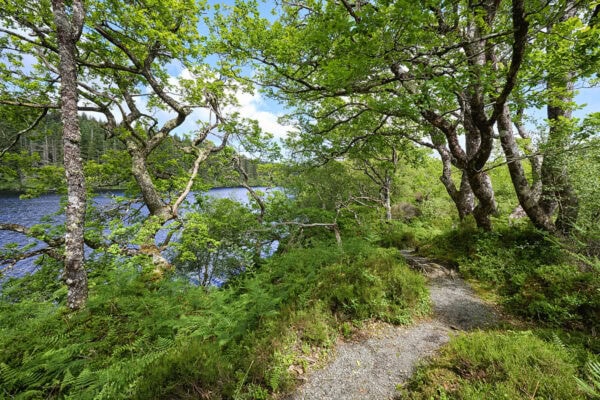 Loch Coille-Bharr