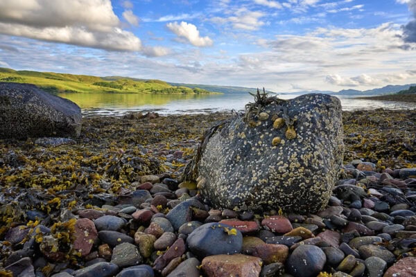 Loch Fyne