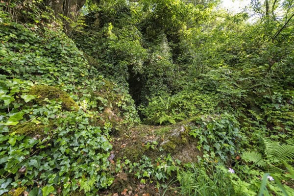 Entrance to Tir na nOg