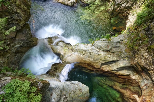 Lynn Canyon