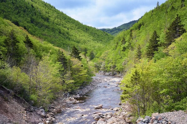 Mackenzies River