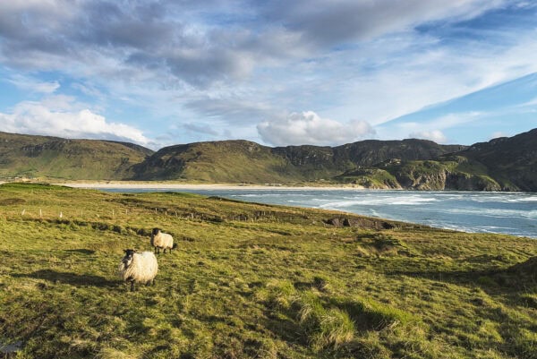 Maghera Beach