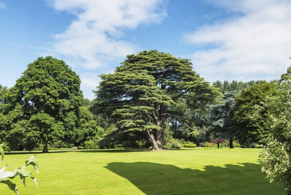 Malahide Castle