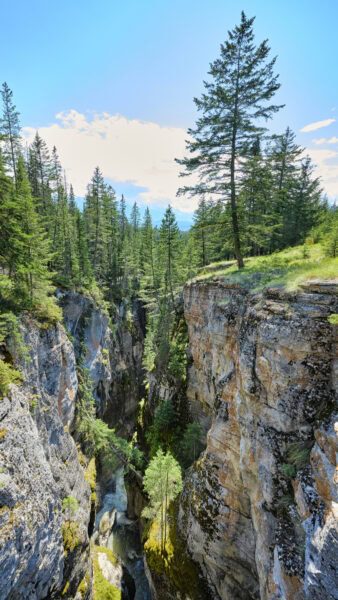 Maligne Canyon