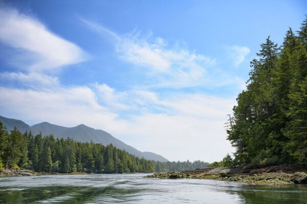 Meares Island