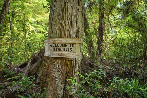 Meares Island